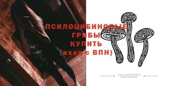 прущие крисы Балахна
