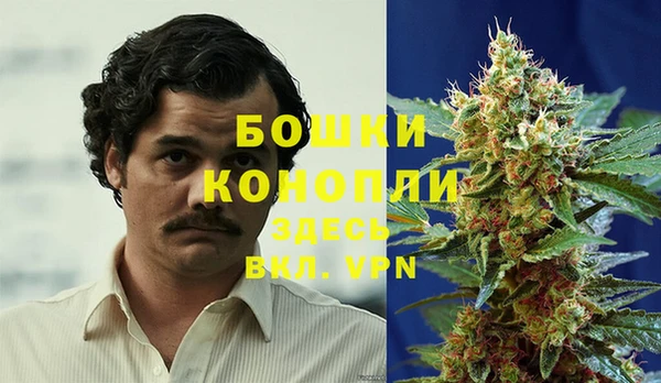 прущие крисы Балахна