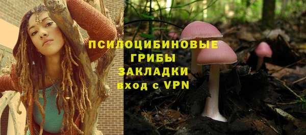 прущие крисы Балахна